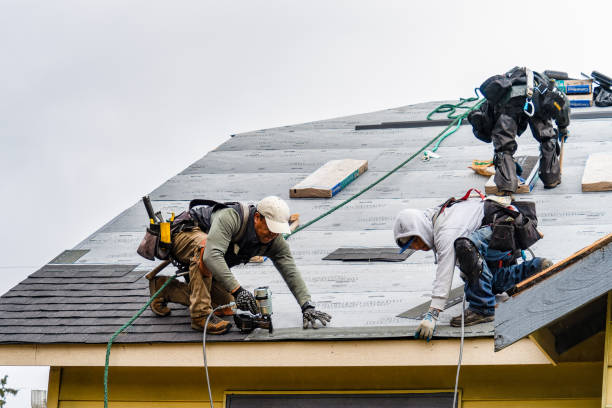 Professional Roofing technician working in Valley City, ND